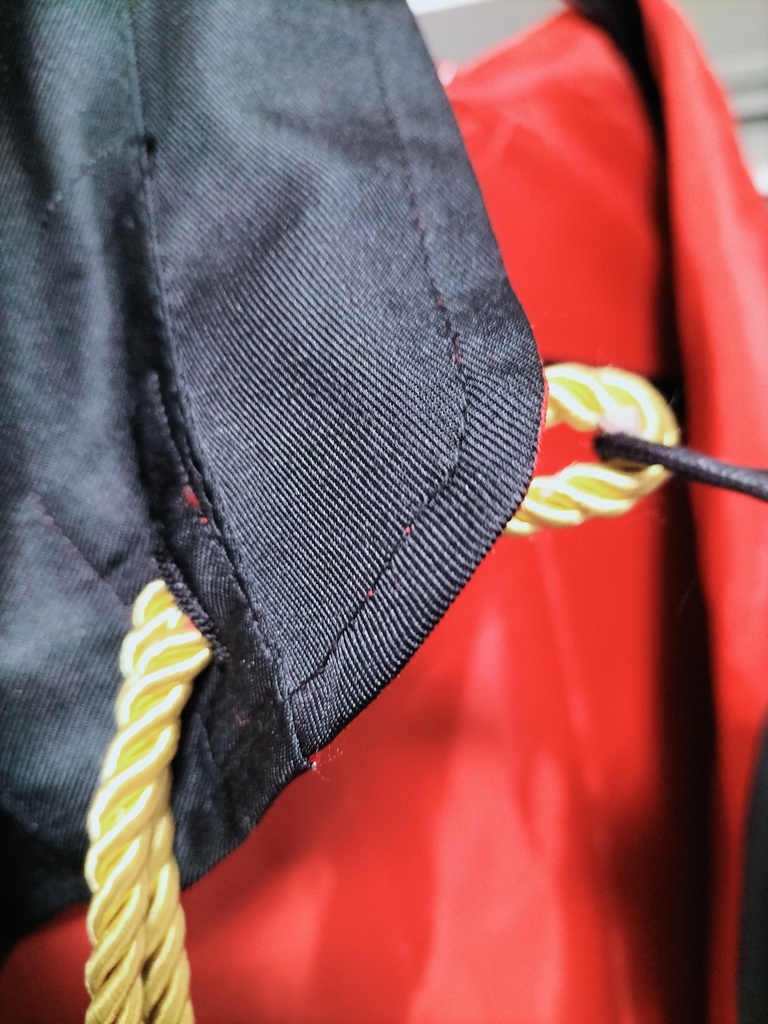 サロン・ダルメ団員ローブ