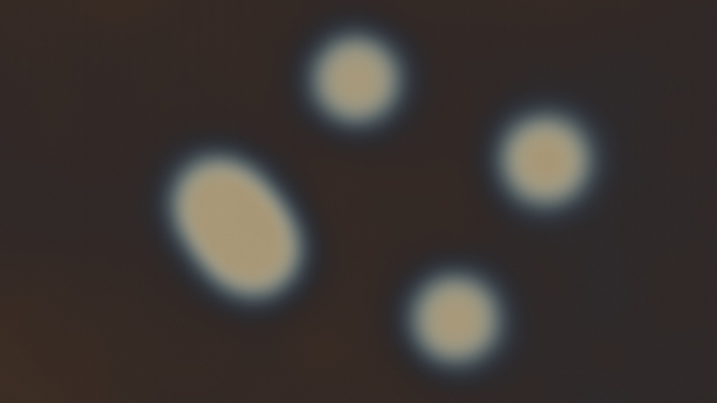 Orbs Pulse — シームレスVJループ + 壁紙素材 | antymark