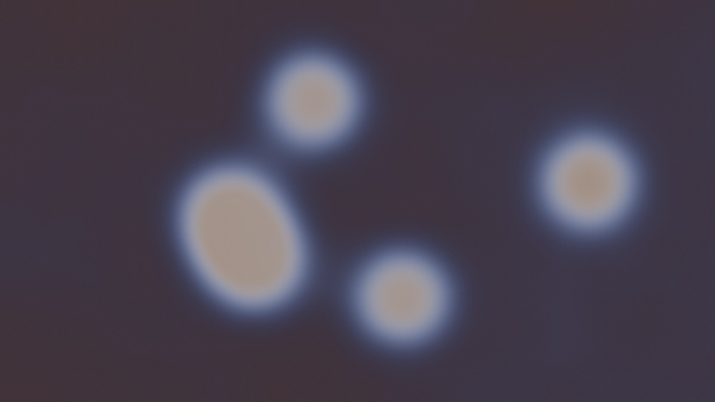 Orbs Pulse — シームレスVJループ + 壁紙素材 | antymark