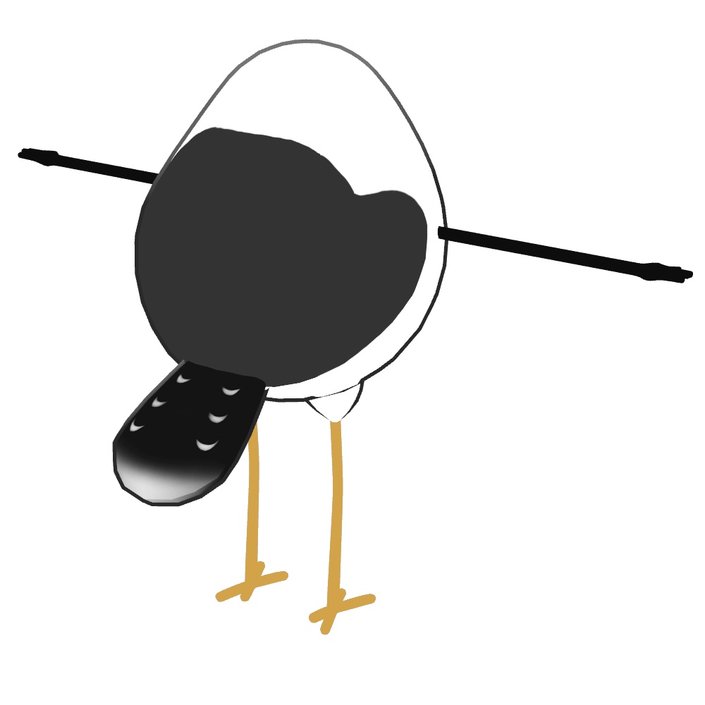 【VRChat/Free】Brid/鳥 専用ウミネコテクスチャ