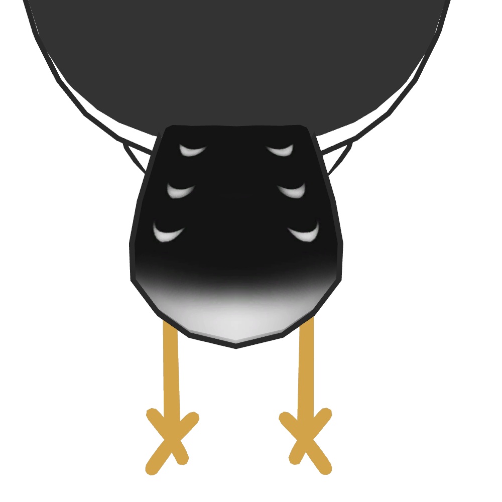 【VRChat/Free】Brid/鳥 専用ウミネコテクスチャ