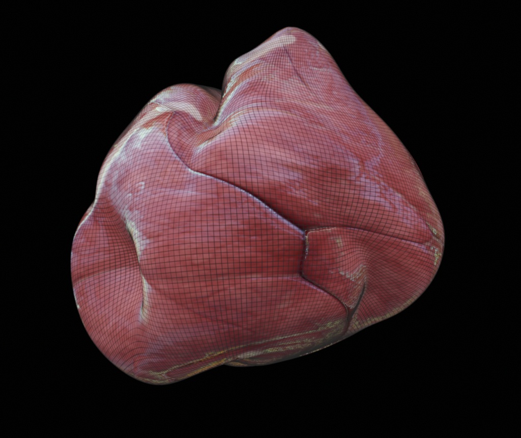 がん、皮膚細胞、皮脂、心臓 — 「Meat & Heart」医療用ゲームアセットパック