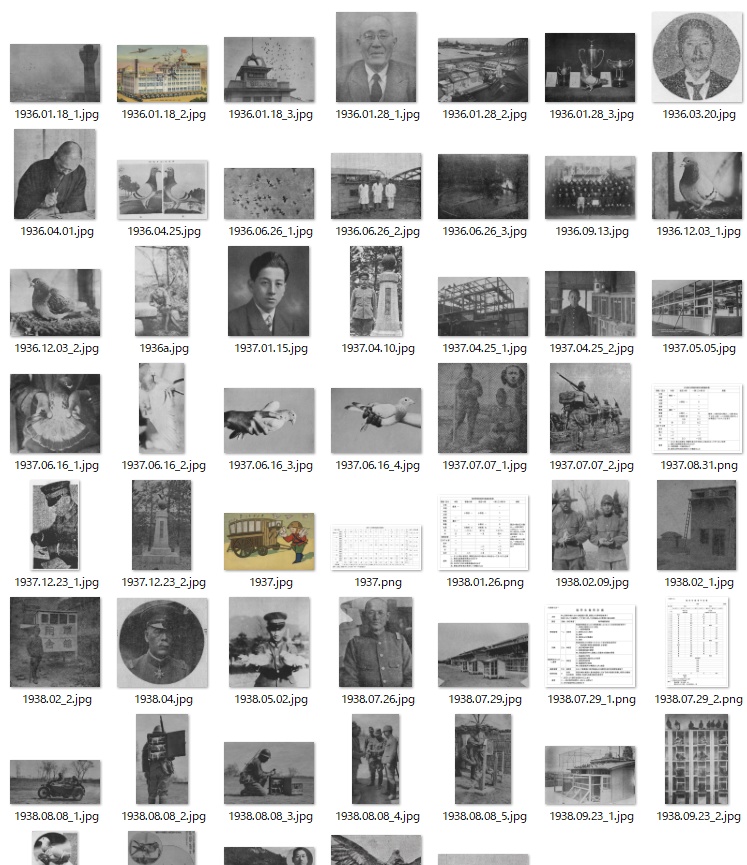 日本軍用鳩年表 写真集