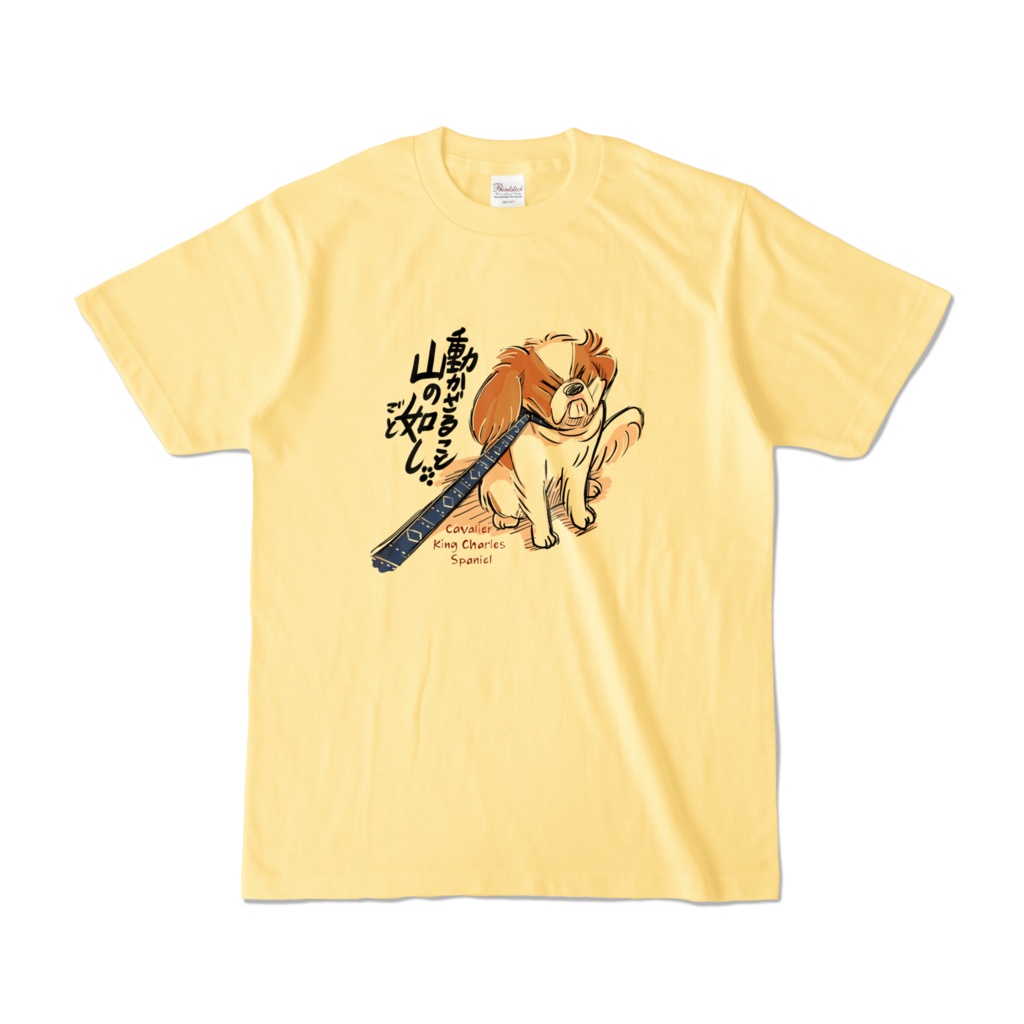 散歩嫌いなキャバリアさん・カラーTシャツ
