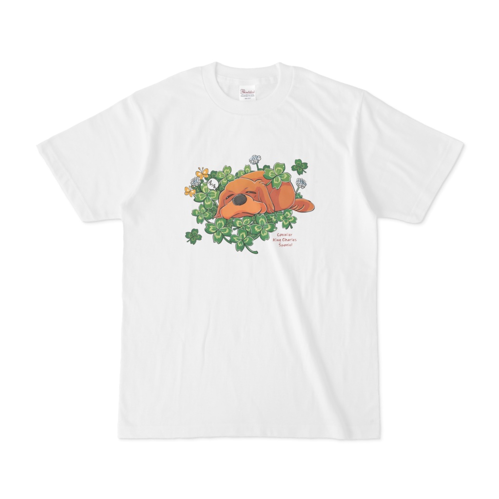 キャバリアルビー・Tシャツ