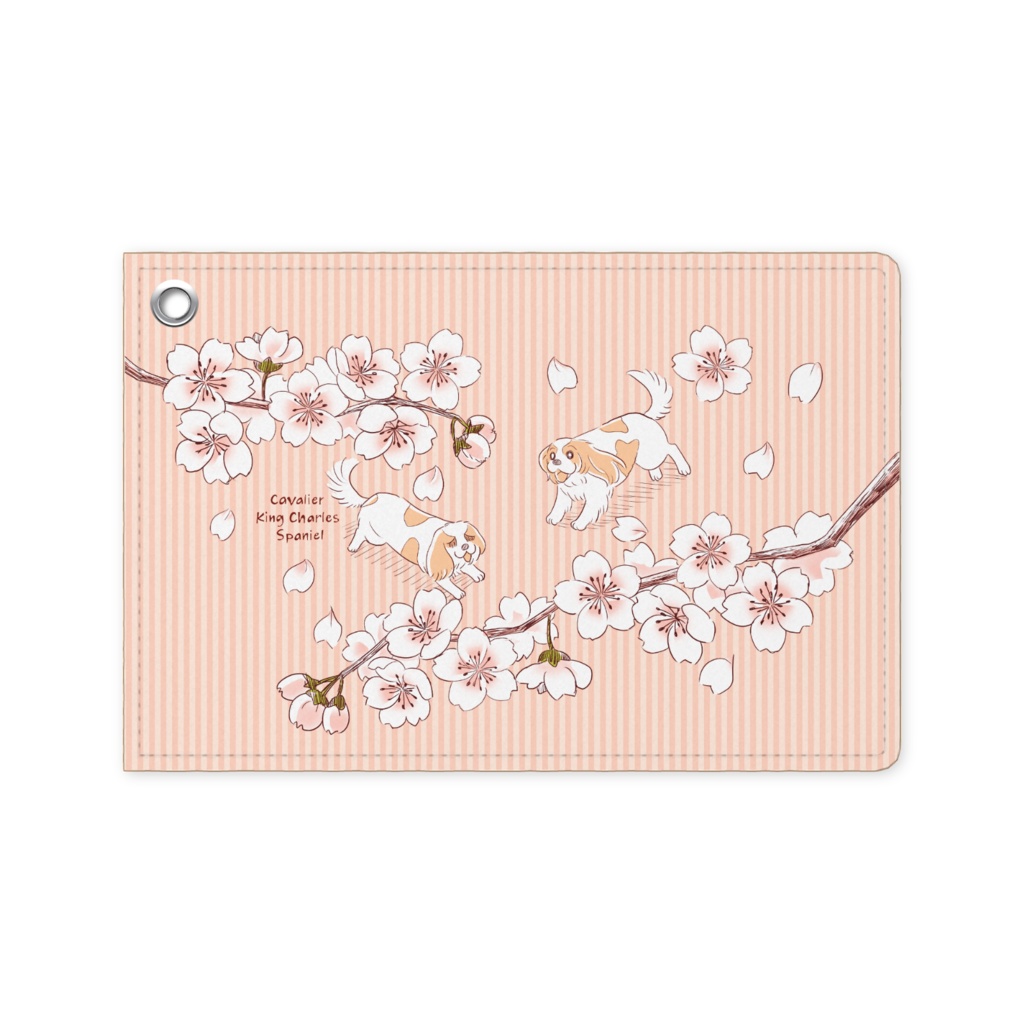 パスケース【シリーズ】