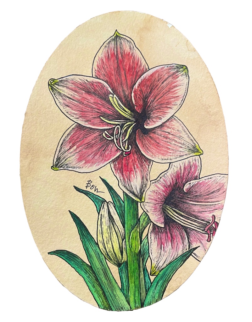 【原画】Amaryllis-アマリリス-