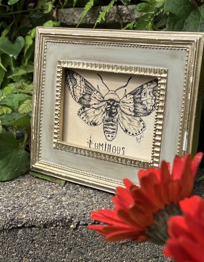 【原画】LUMINOUS