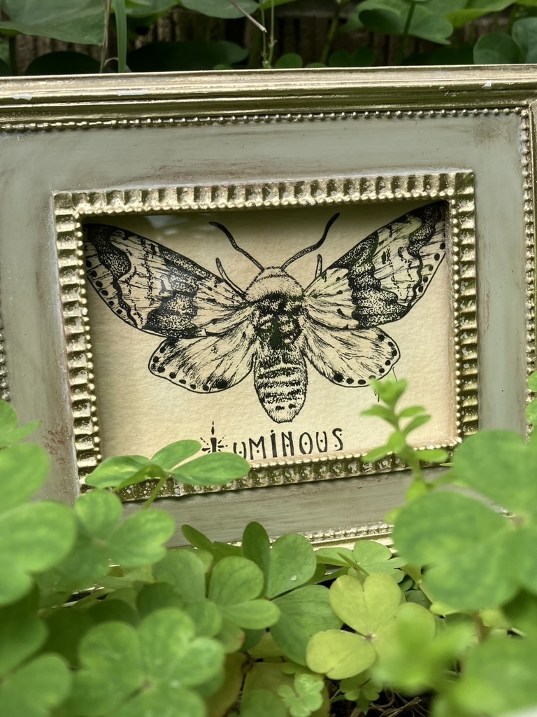 【原画】LUMINOUS