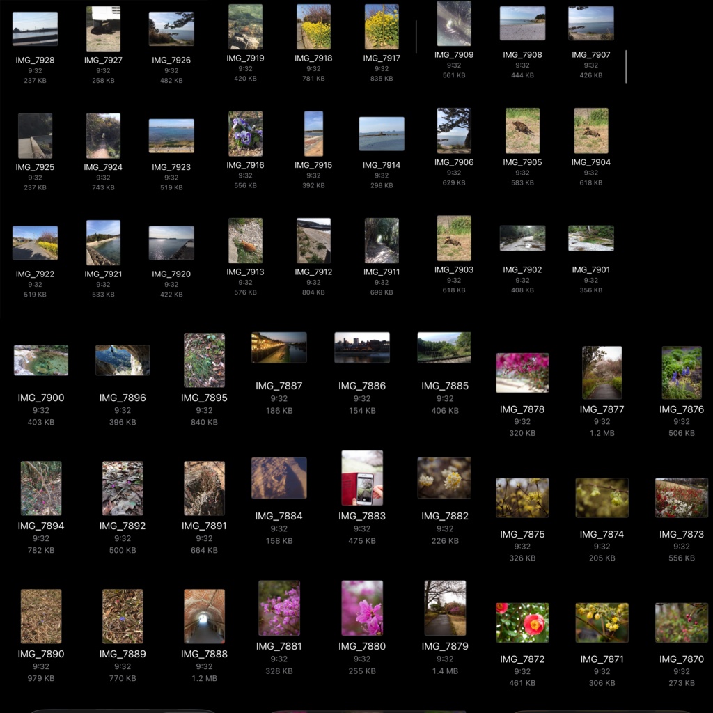 【商用利用可】写真素材第2弾120枚