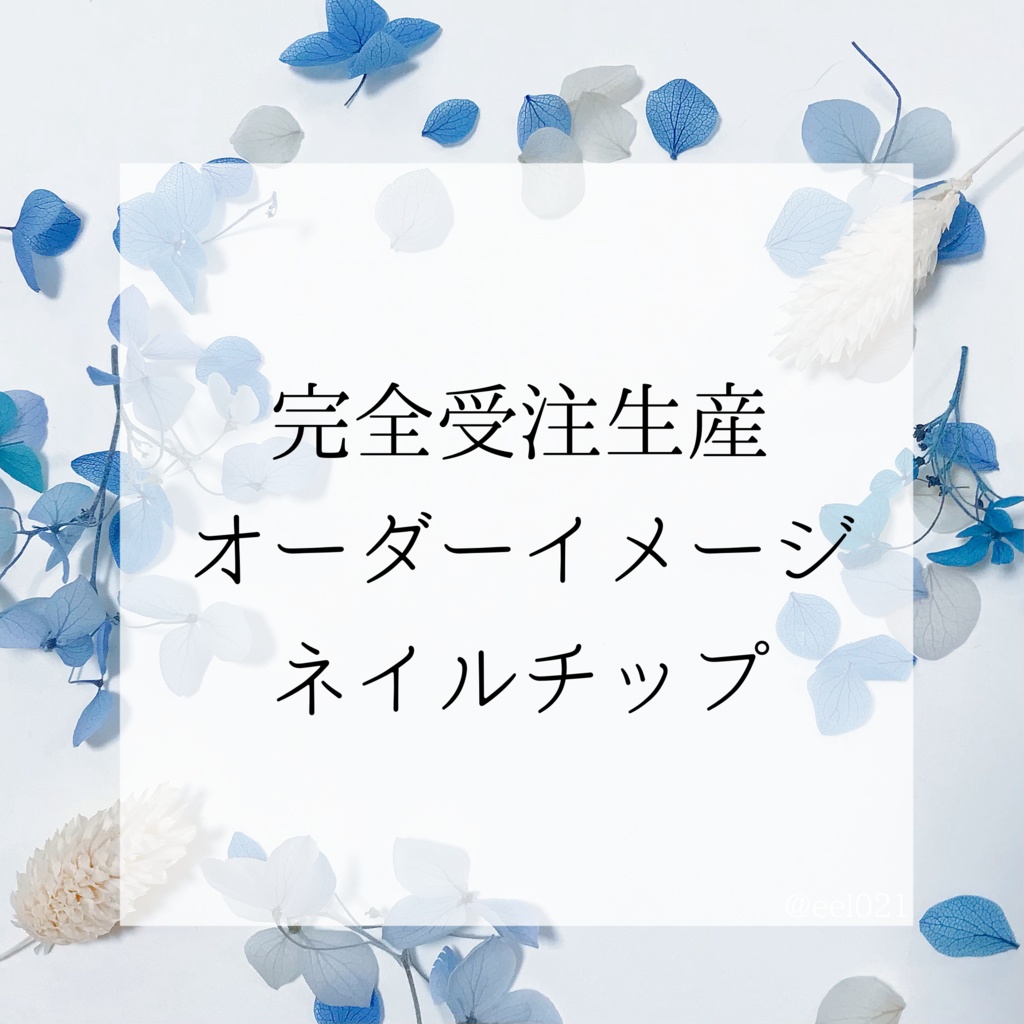 探索者イメージネイルチップオーダー