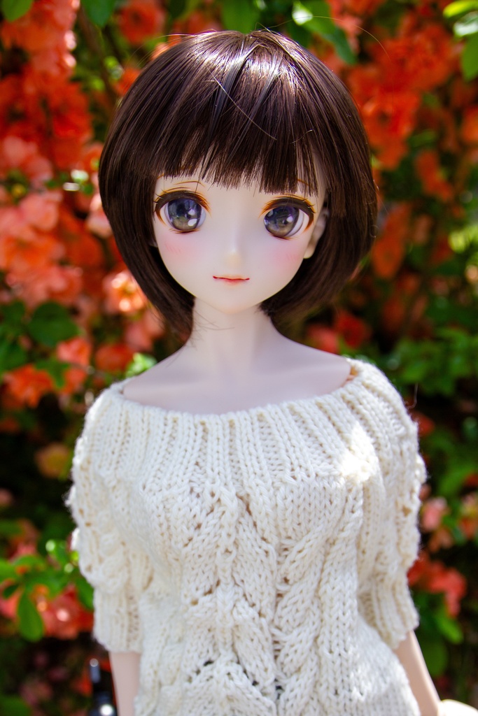 7/10通販 DD オフショル 2色