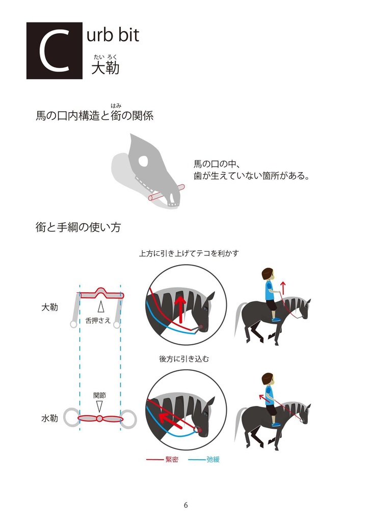 馬術描写って何だ? ポケット版 (カラー)
