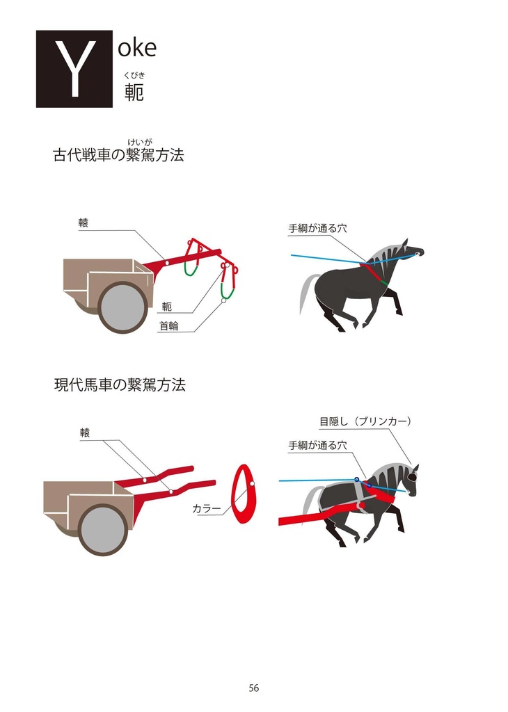 馬術描写って何だ? ポケット版 (カラー)