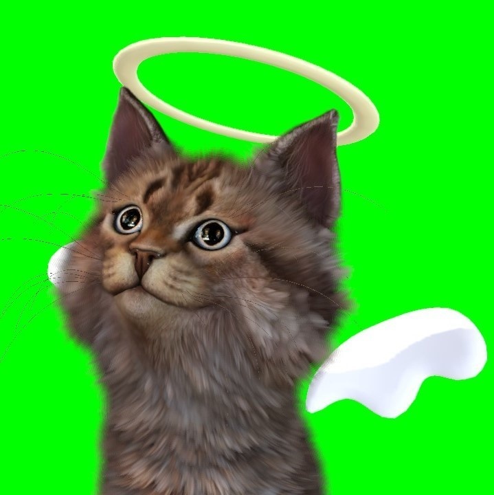 FaceRig用プロップ(props)8種セット