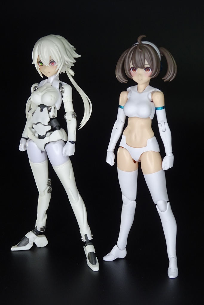 メガミデバイス用ネジ関節式フレーム P-129-1/A「ドレスフレーム」