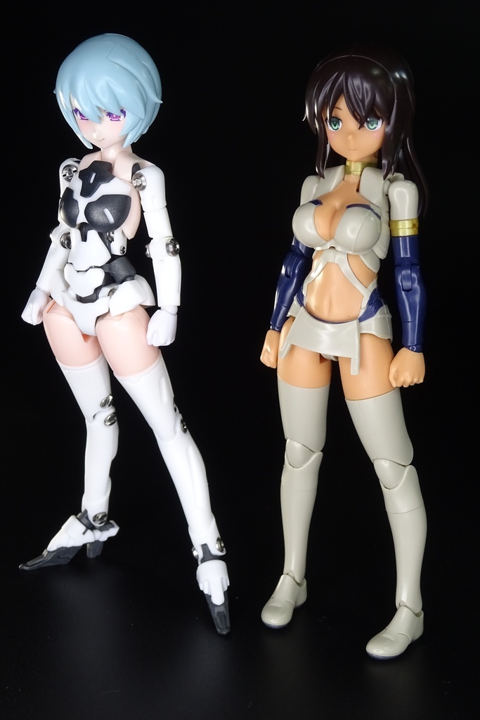 メガミデバイス用ネジ関節式フレーム P-129-1/C「ドレスフレーム コンパクト」