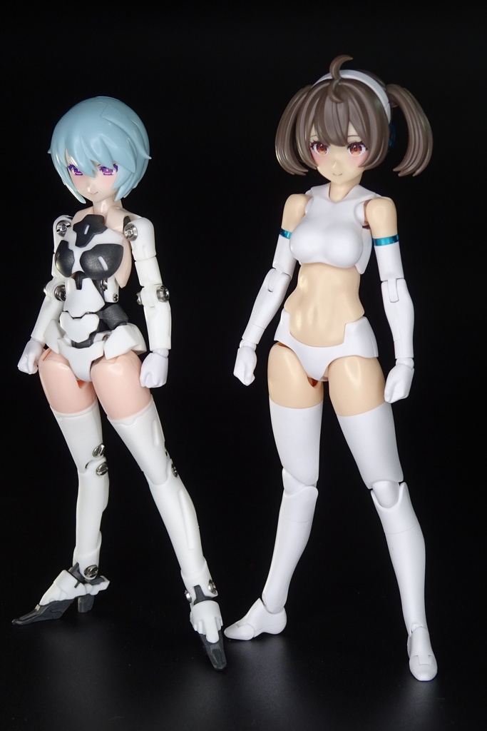 メガミデバイス用ネジ関節式フレーム P-129-1/C「ドレスフレーム コンパクト」