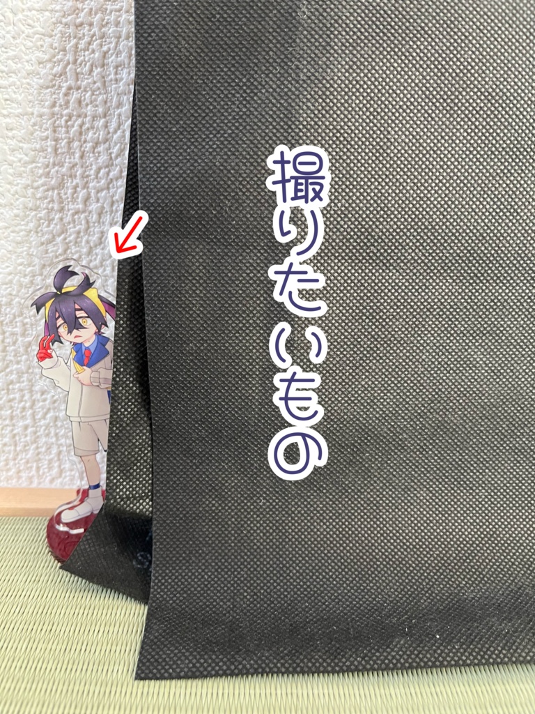 【非公式】連れ出されスグリ-アクスタ-