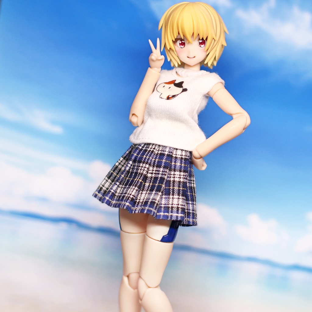 ＊プリーツスカートセットB