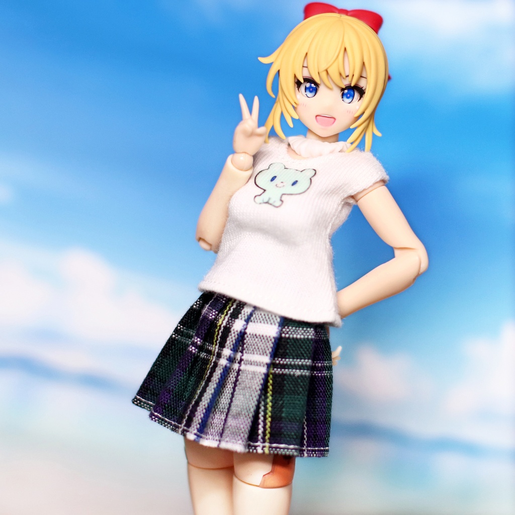 ＊プリーツスカートセットC