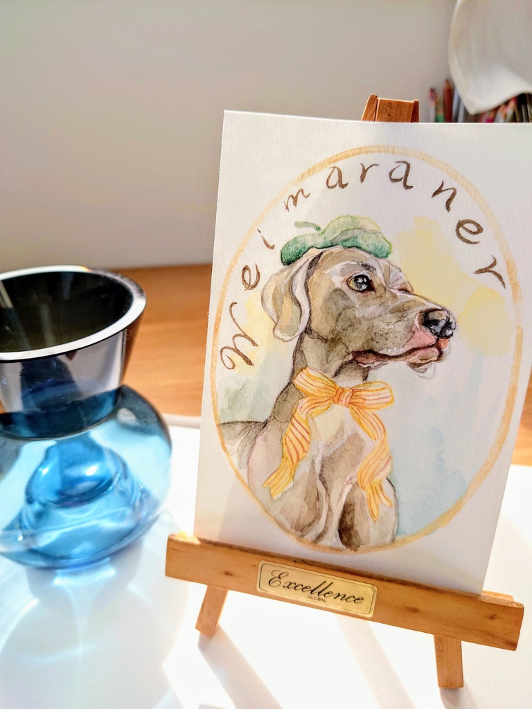 ワイマラナー　〜weimaraner〜❁