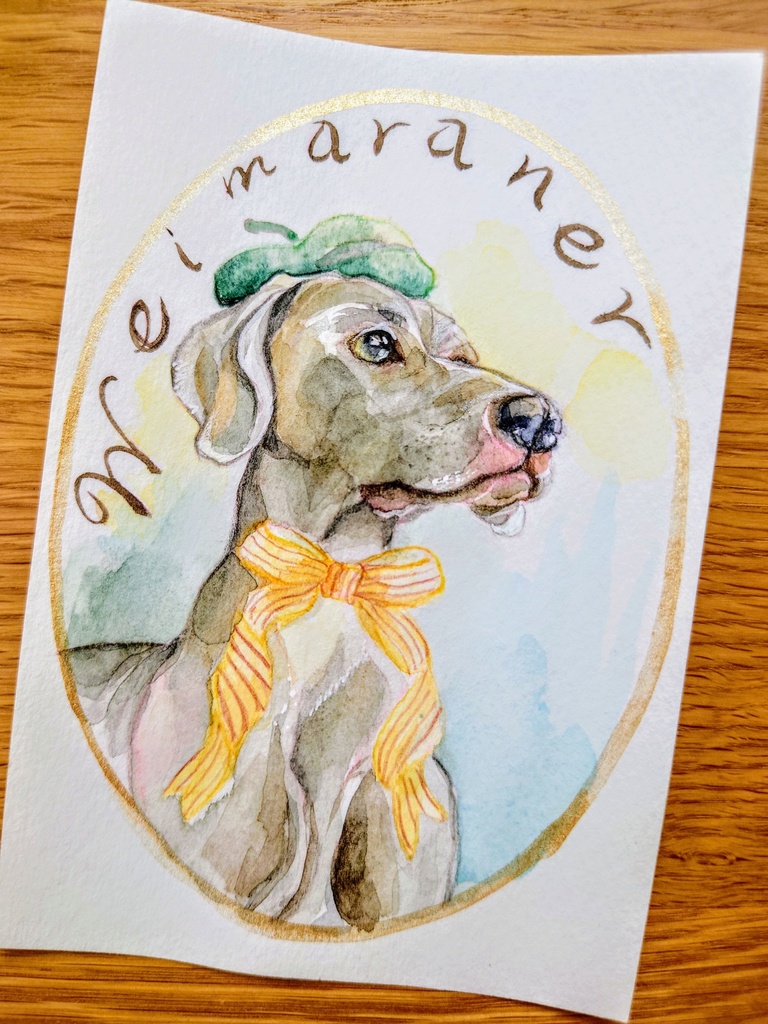 ワイマラナー 〜weimaraner〜❁