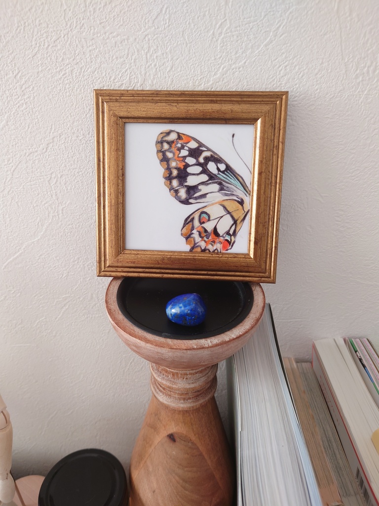 Transformation〜蝶〜 フレーム