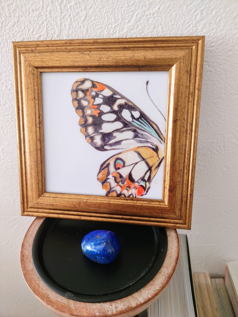 Transformation〜蝶〜 フレーム