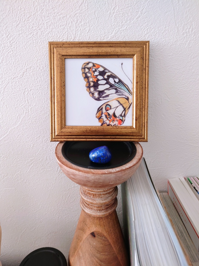 Transformation〜蝶〜 フレーム