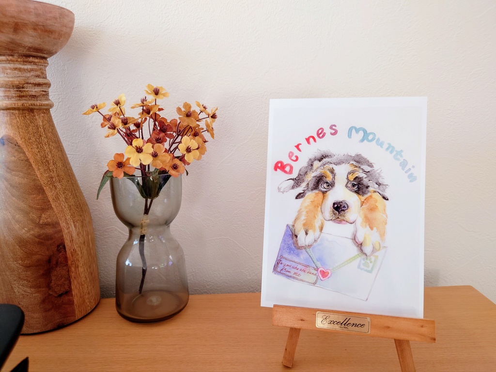 バーニーズマウンテン🐾𓃡