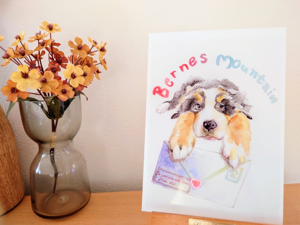 バーニーズマウンテン🐾𓃡