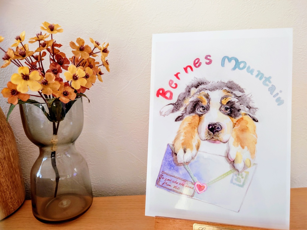 バーニーズマウンテン🐾𓃡