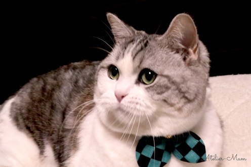 鬼殺隊に入隊できる(かもしれない)首輪