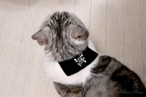 鬼殺隊に入隊できる(かもしれない)首輪