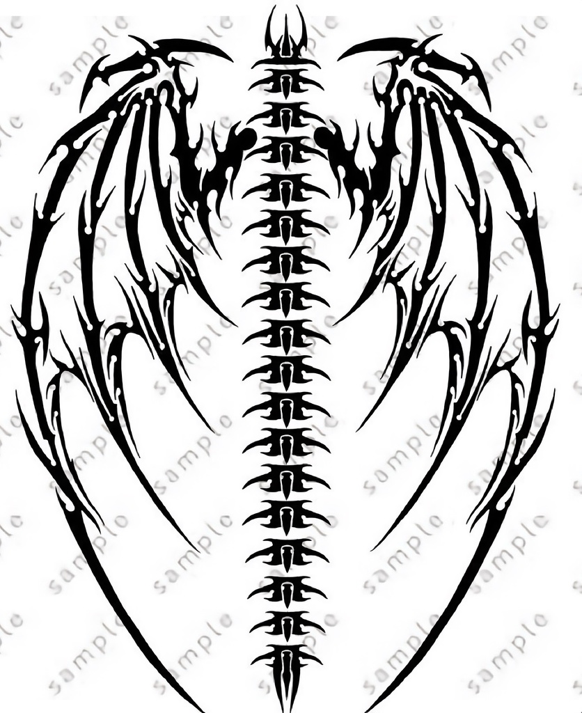 Feathers and bones on the back tatto