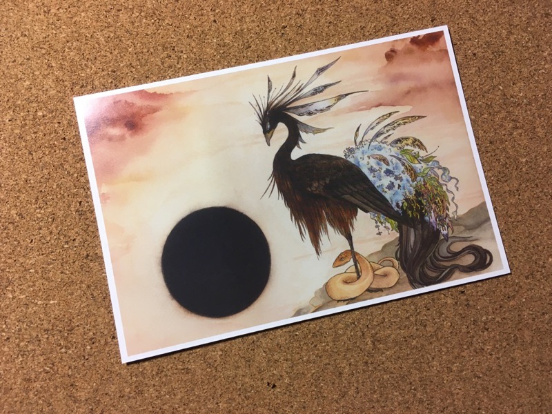 黒鳳凰