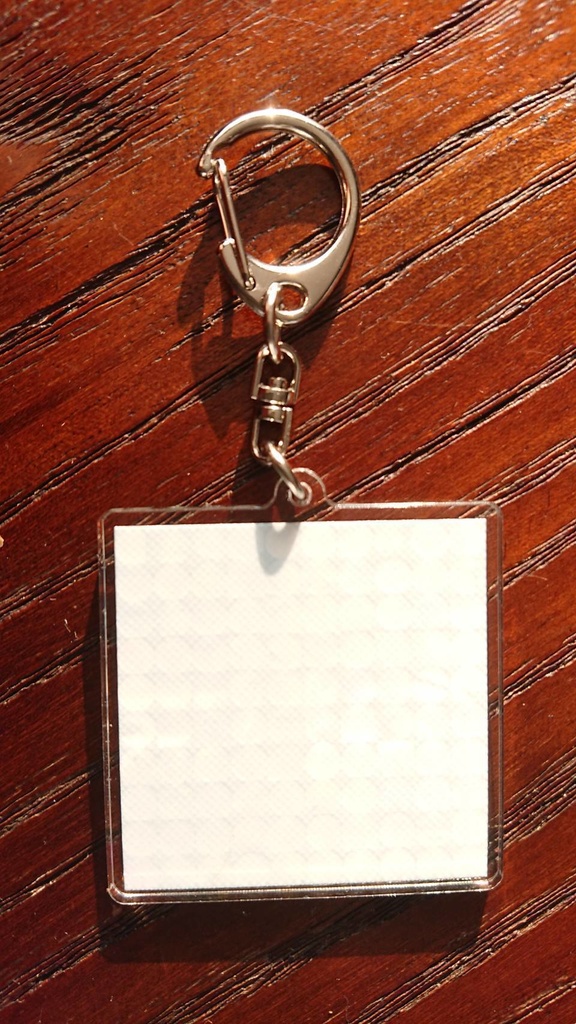 【ごまつぶより小さな世界 100種類 ver】アクリルキーホルダー - 50 x 50 (mm)