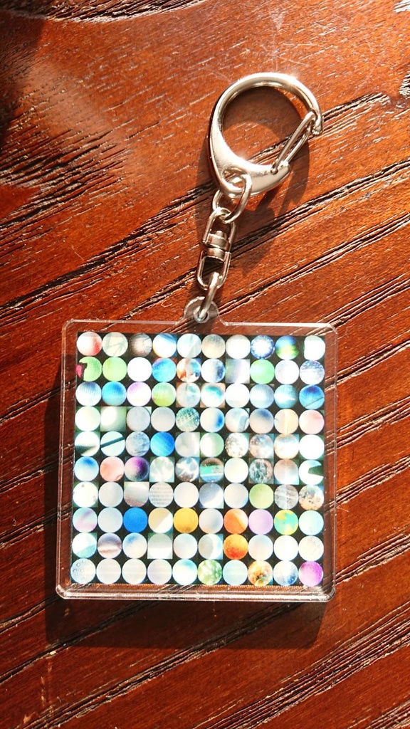 【ごまつぶより小さな世界 100種類 ver】アクリルキーホルダー - 50 x 50 (mm)