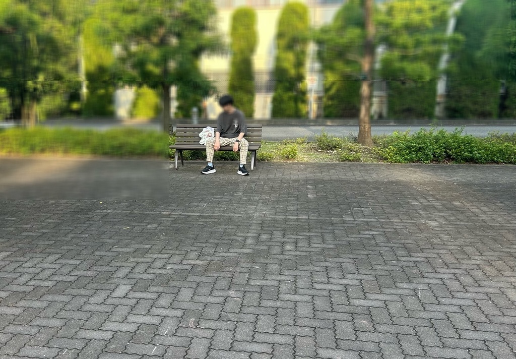 ボコボコにされた古明地さとりクッション