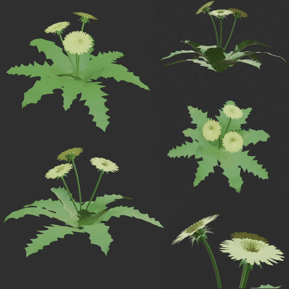 たんぽぽ【3D素材】