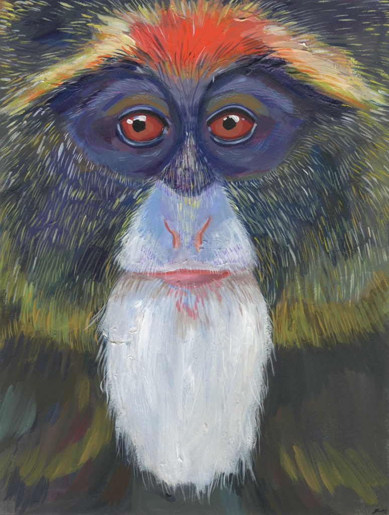Monkey Face｜額縁付き