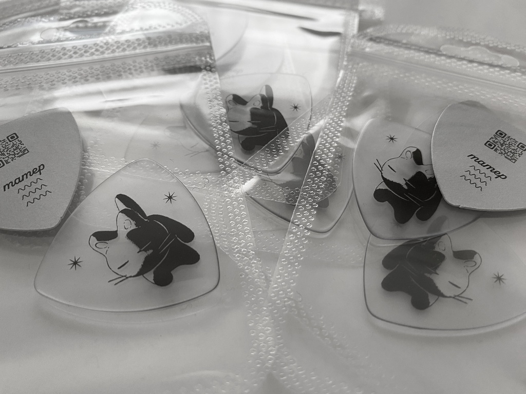GUITAR PICK