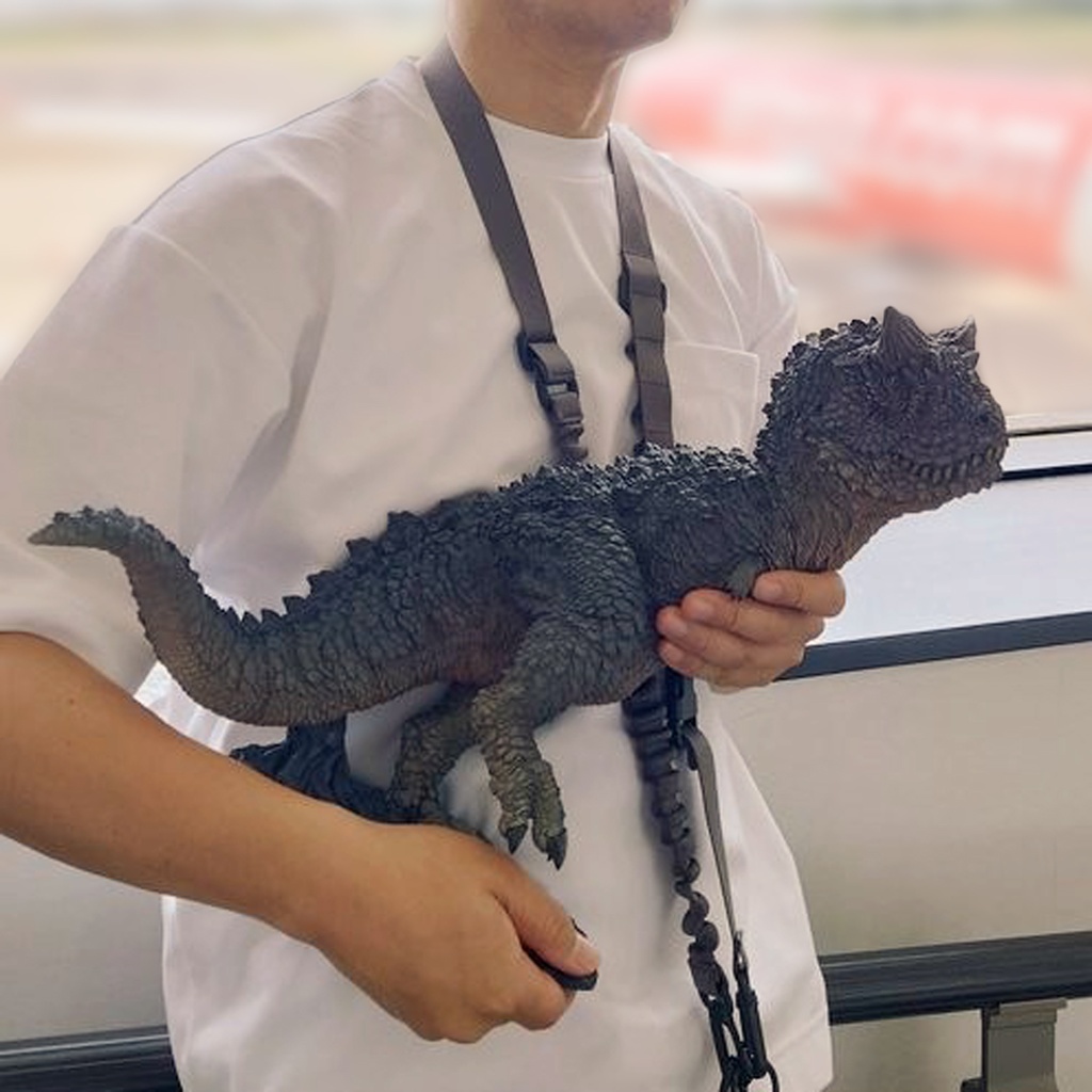 白亜紀・南米大陸の覇者デュエルセット(ソフビ塗装済完成品)