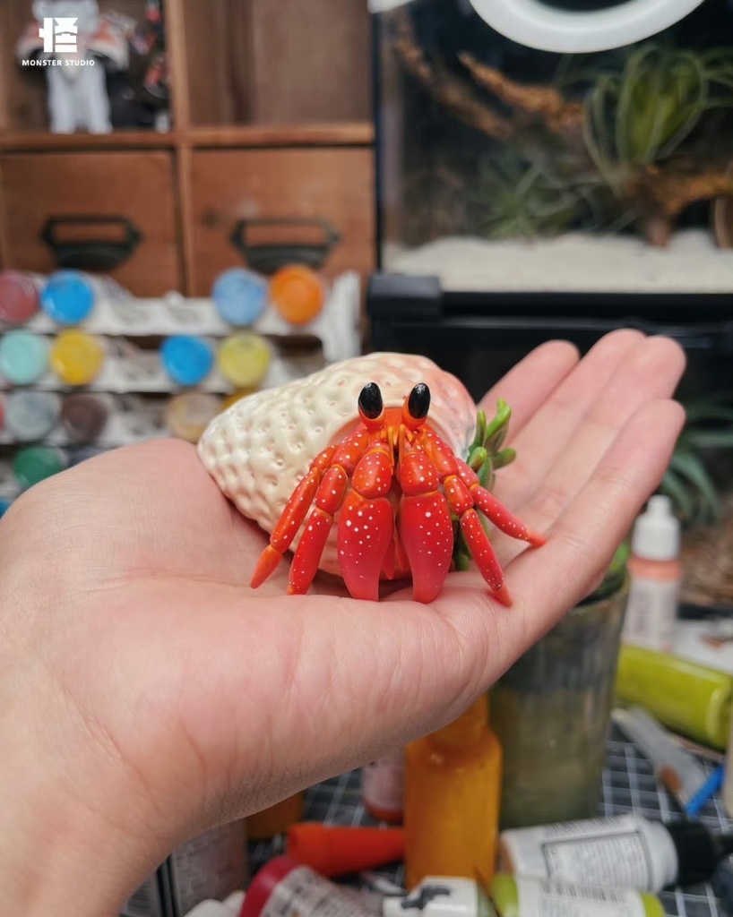 イチゴヤドカリ 白