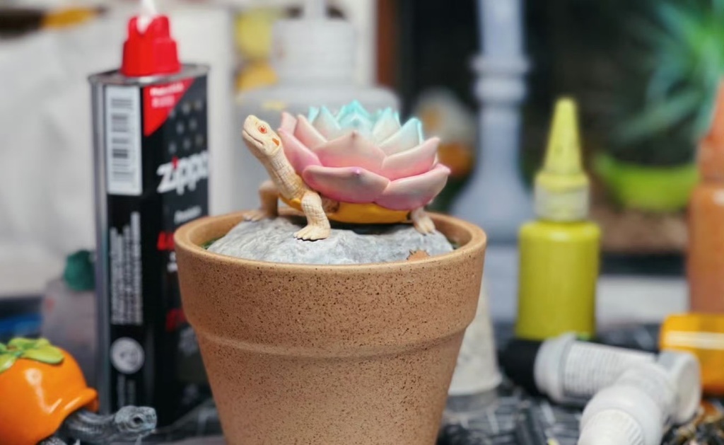 多肉植物亀 ブルームver. 