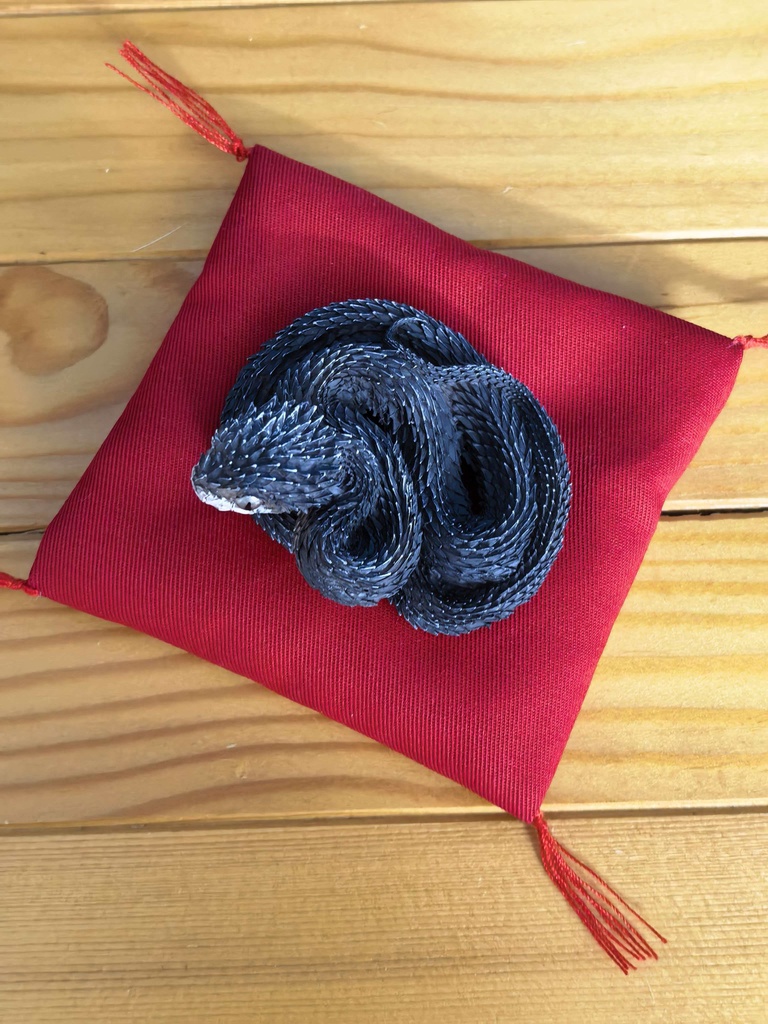 『奇想造形根付』 プッシュバイパー