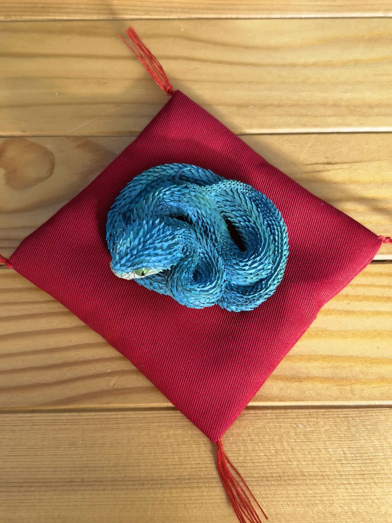 『奇想造形根付』 プッシュバイパー