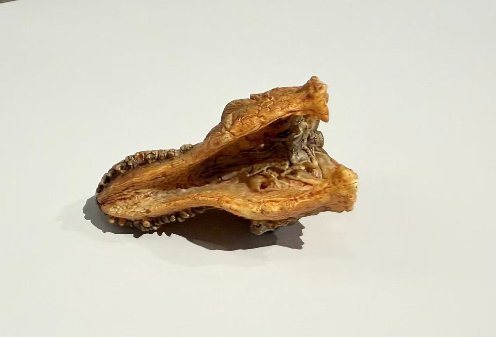 『奇想造形根付』ティラノサウルス