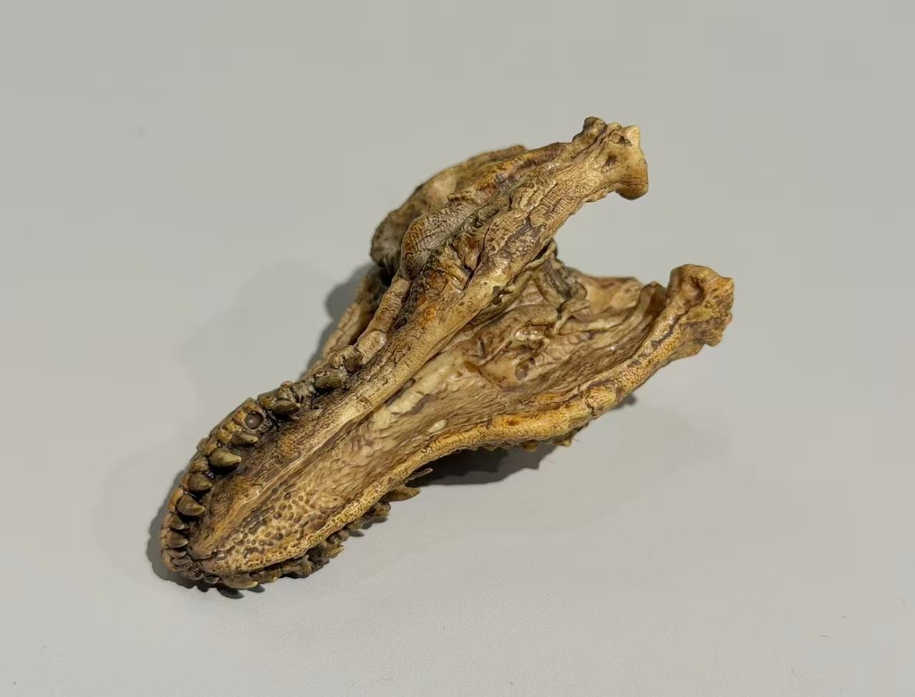 『奇想造形根付』ティラノサウルス